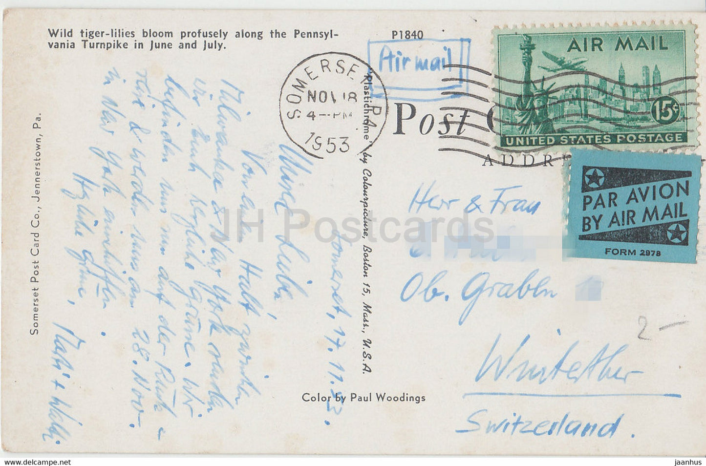 Wild Tiger Lilies bloom profusely along the Pennsylvania Turnpike in June and July - old postcard - 1953 - USA - used