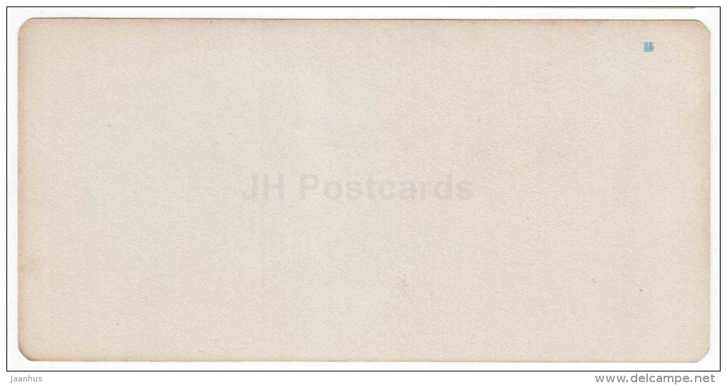 Elizabeth street - hotel - Pyatigorsk - Caucasus - Russia - Russie - stereo photo - stereoscopique - old photo - JH Postcards