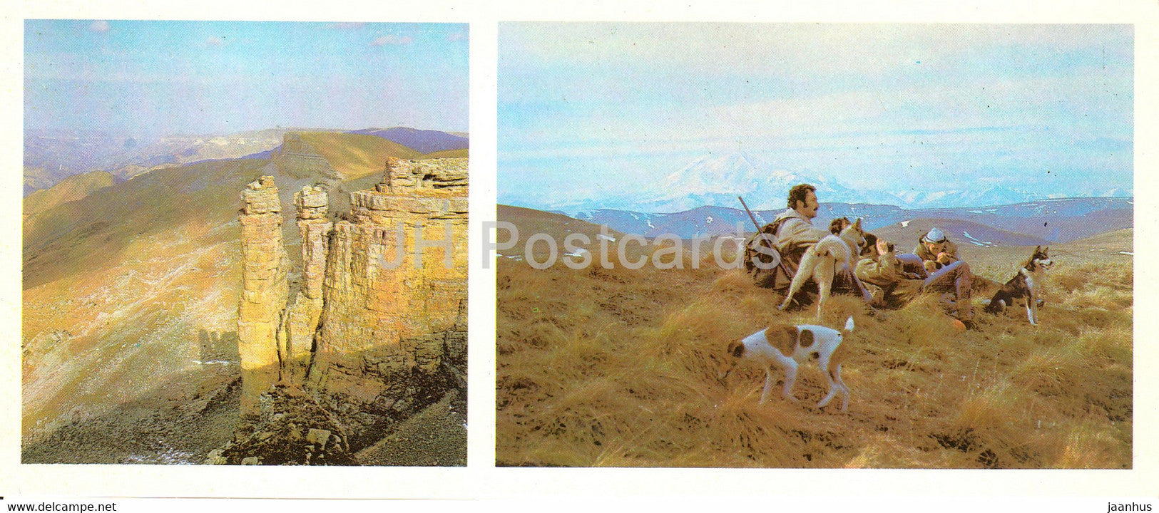Stavropol area - Stavropolye - Near Kislovodsk - hunting dogs - 1985 - Russia USSR - unused - JH Postcards