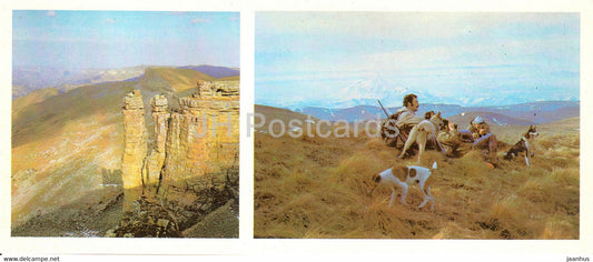 Stavropol area - Stavropolye - Near Kislovodsk - hunting dogs - 1985 - Russia USSR - unused - JH Postcards