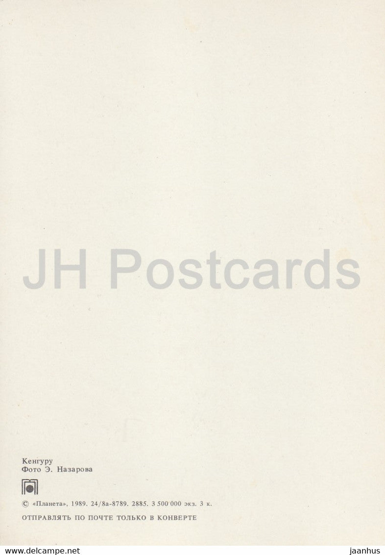 Kangaroo - 1989 - Russia USSR - unused