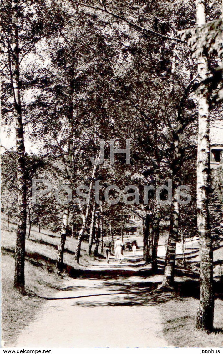 Braunlage 620 m - Kurpark - Birkenweg - old postcard - 1962 - Germany - used - JH Postcards
