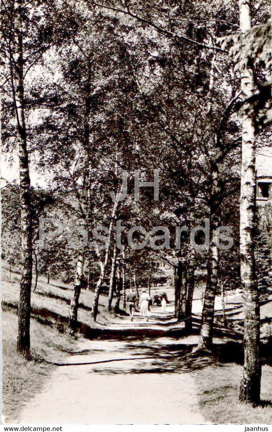Braunlage 620 m - Kurpark - Birkenweg - old postcard - 1962 - Germany - used - JH Postcards