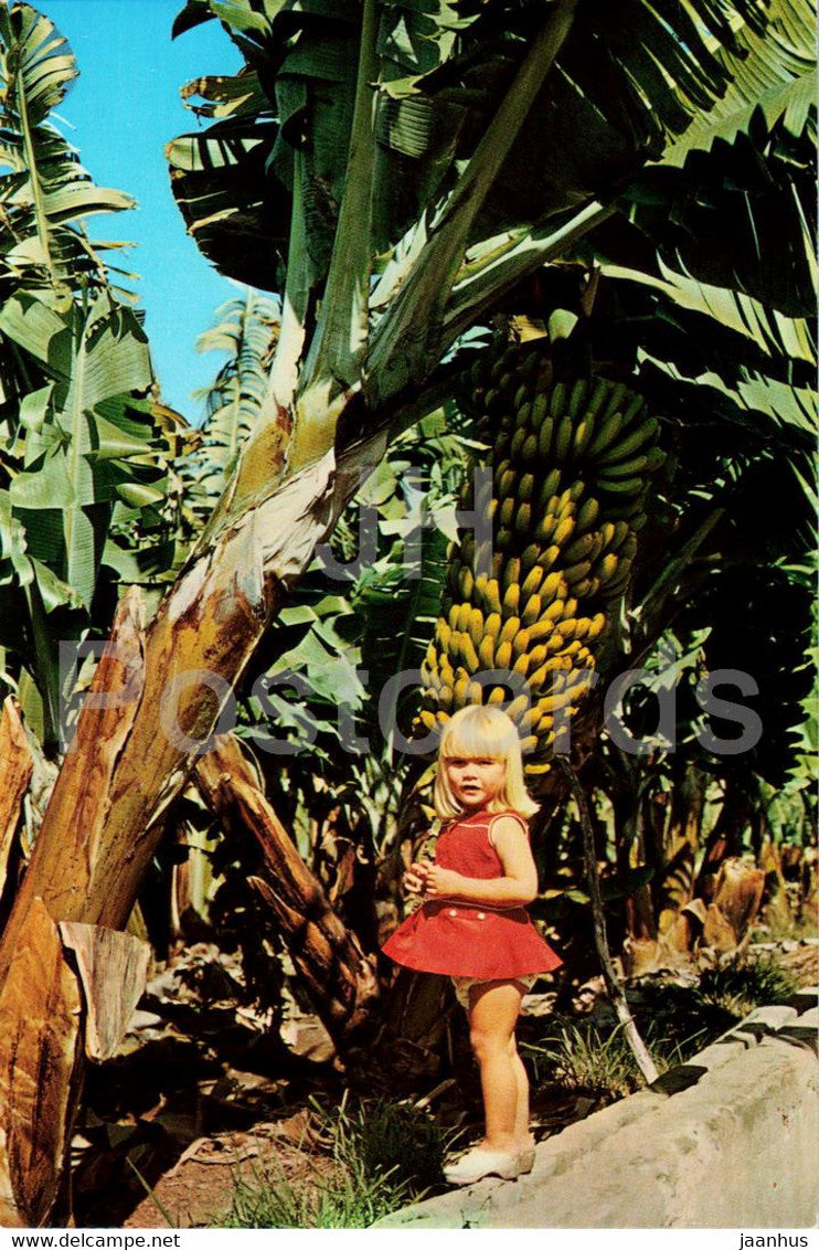 Racimo de Platanos - Gran Canario - banana - child - girl - 6079 - Spain - unused - JH Postcards