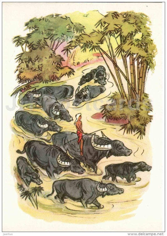 buffalos - Mowgli by Rudyard Kipling - 1975 - Russia USSR - unused - JH Postcards