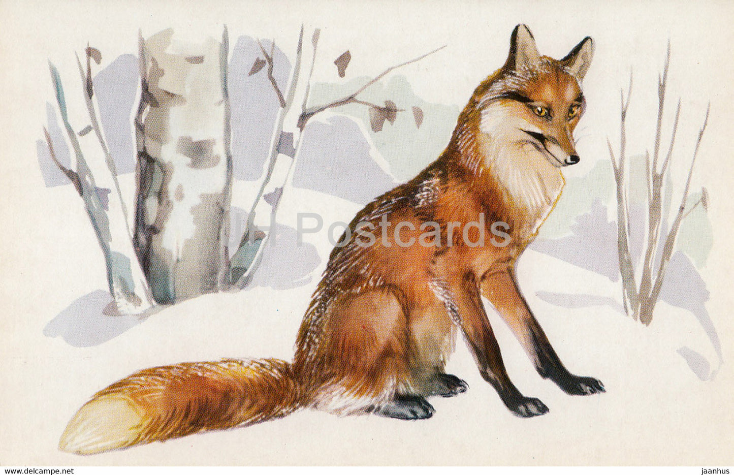 Red Fox - Vulpes Vulpes - illustration - Polar Animals - 1972 - Russia USSR - unused - JH Postcards