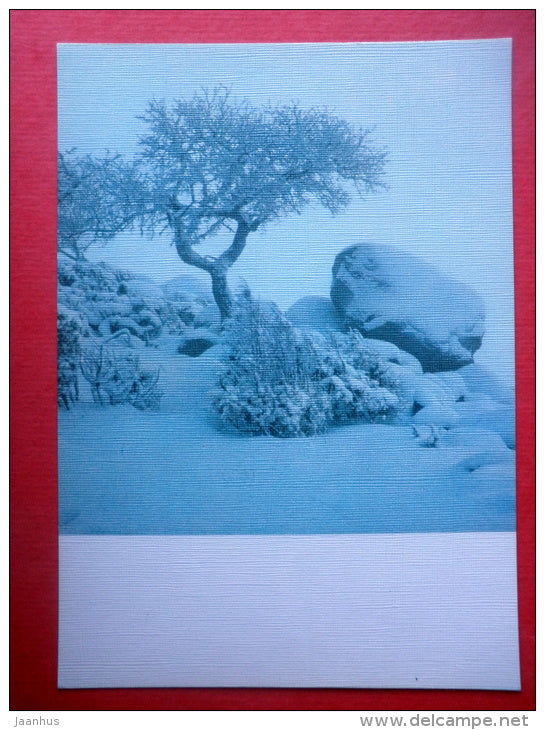 Estonia in Winter - tree - rock - 1988 - Estonia USSR - unused - JH Postcards