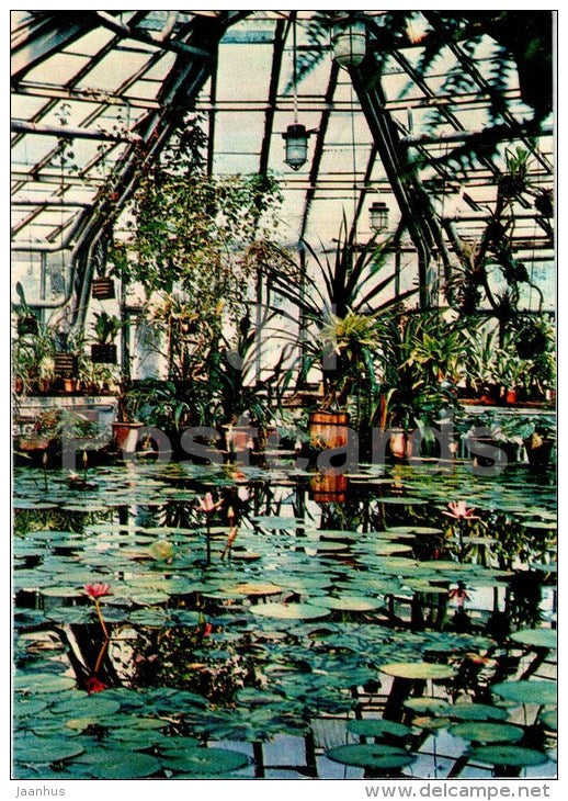 Stock greenhouse - watet lily - Botanical Garden of the USSR - Moscow - 1973 - Russia USSR - unused - JH Postcards