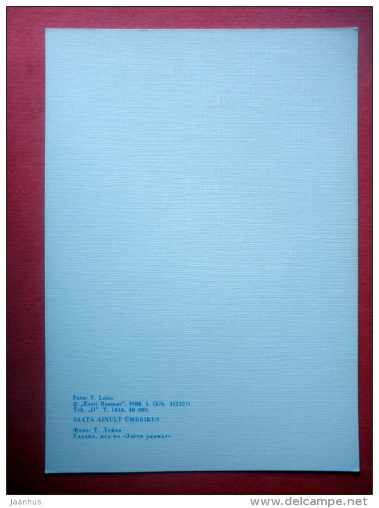 Estonia in Winter - tree - rock - 1988 - Estonia USSR - unused - JH Postcards