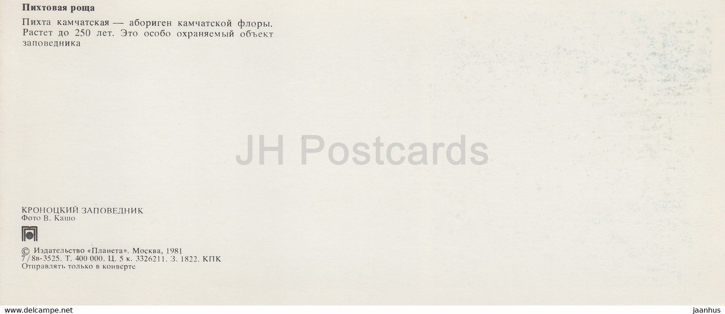 Kronotsky Nature Reserve - Kamchatka Fir - 1981 - Russia USSR - unused