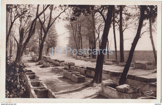 Arles sur Rhone - Les Alyscamps - Champs Elysees romains - 533 - old postcard - 1942 - France - used - JH Postcards