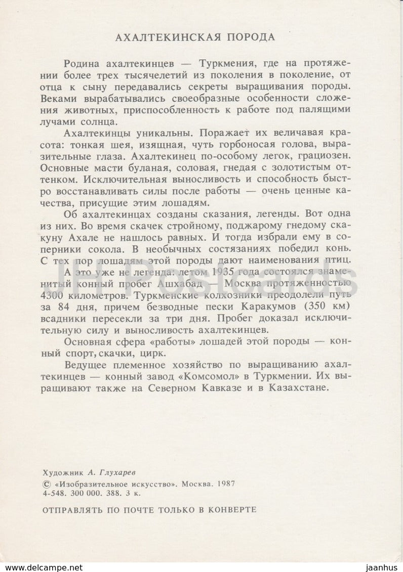 Akhal-Teke Horse - illustration by A. Glukharev - horses - animals - 1988 - Russia USSR - unused - JH Postcards