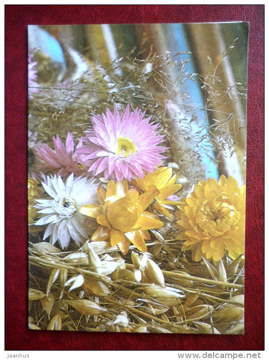 New Year Greeting card - flowers - 1986 - Estonia USSR - used - JH Postcards