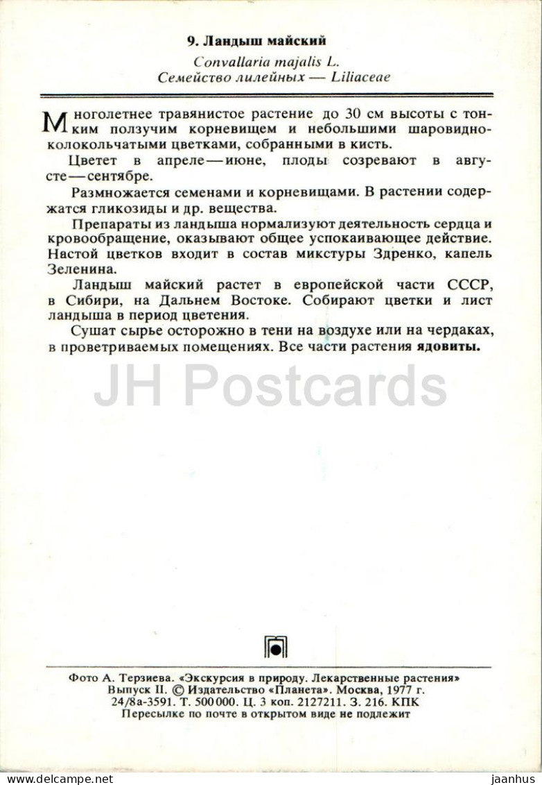 Convallaria majalis - Muguet - Plantes médicinales - 1977 - Russie URSS - inutilisé 