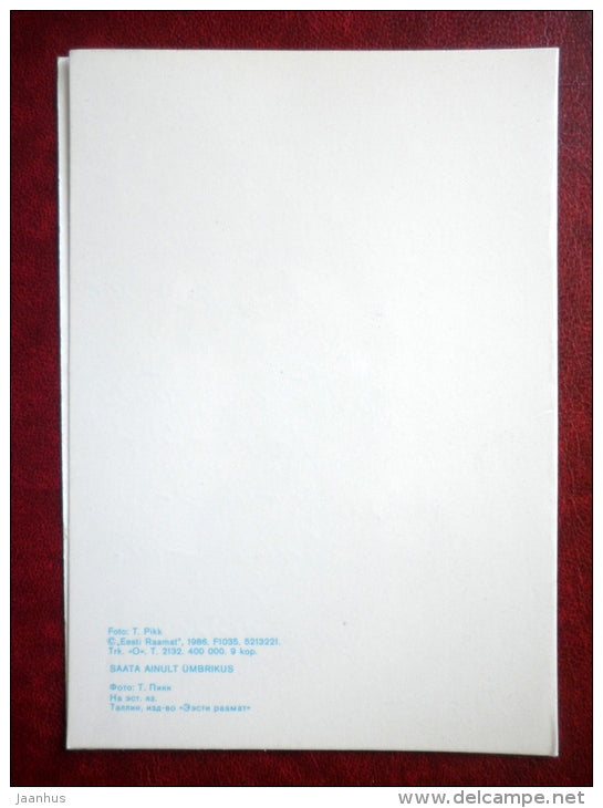 New Year Greeting card - flowers - 1986 - Estonia USSR - used - JH Postcards