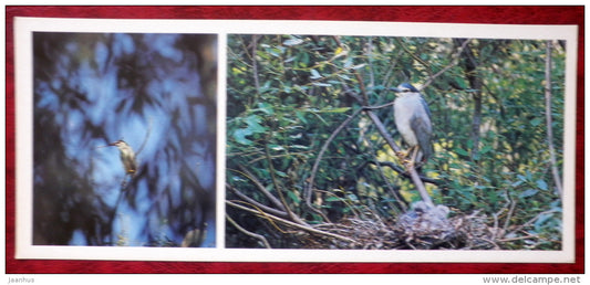Black-crowned Night Heron - Nycticorax - birds - 1982 - Russia USSR - unused - JH Postcards