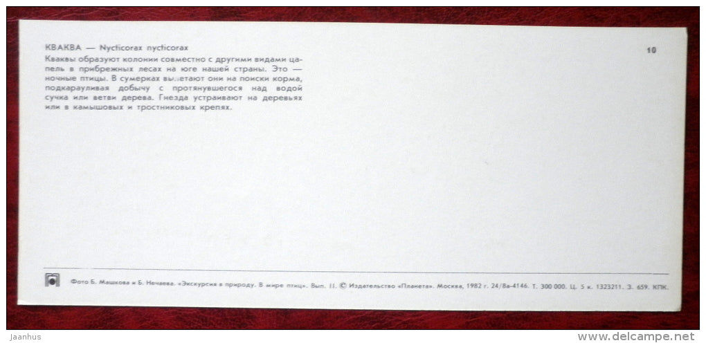 Black-crowned Night Heron - Nycticorax - birds - 1982 - Russia USSR - unused - JH Postcards