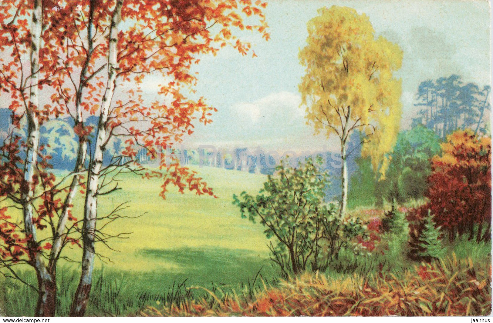 Dubener Heide - Historische Studentenwiese - illustration - old postcard - Germany - used - JH Postcards