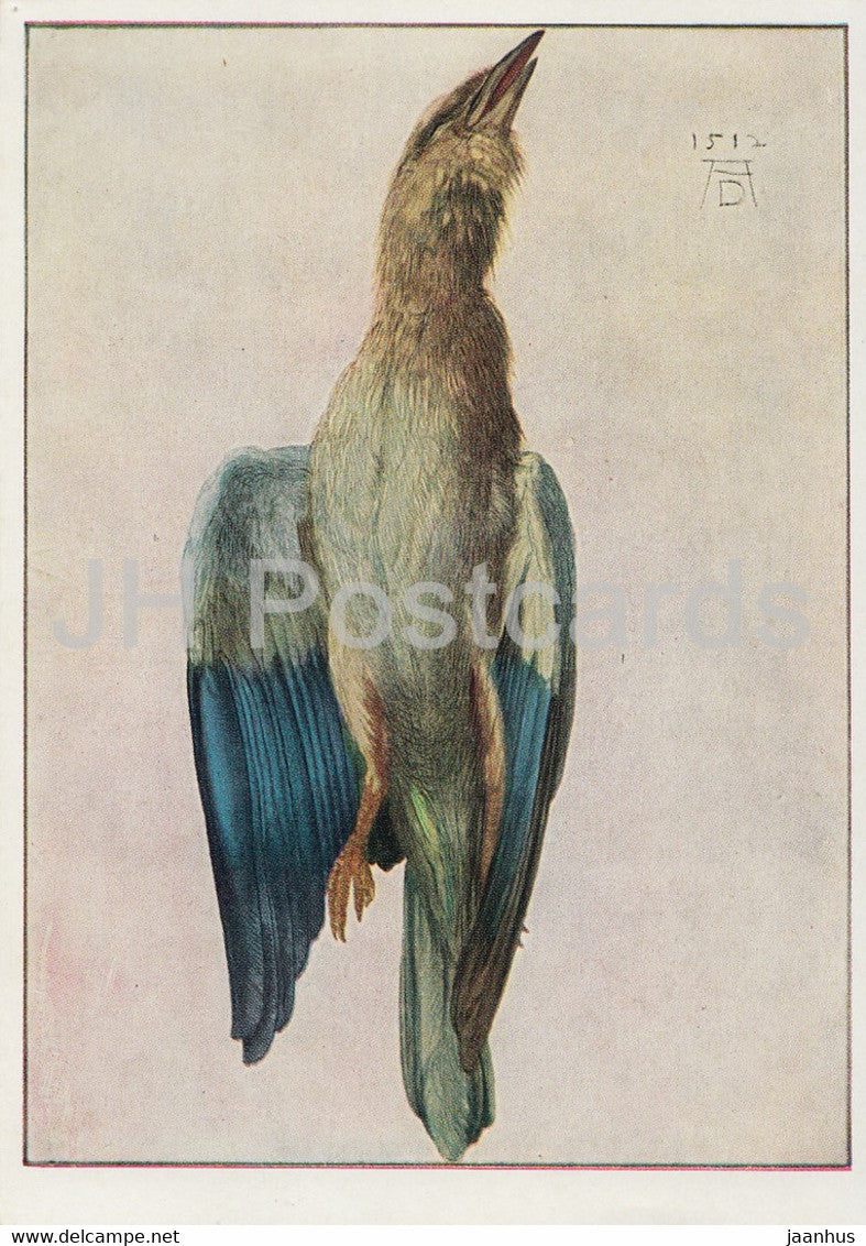 painting by Albrecht Durer - Tote Blaurake - European roller - birds - German art - Germany - unused - JH Postcards