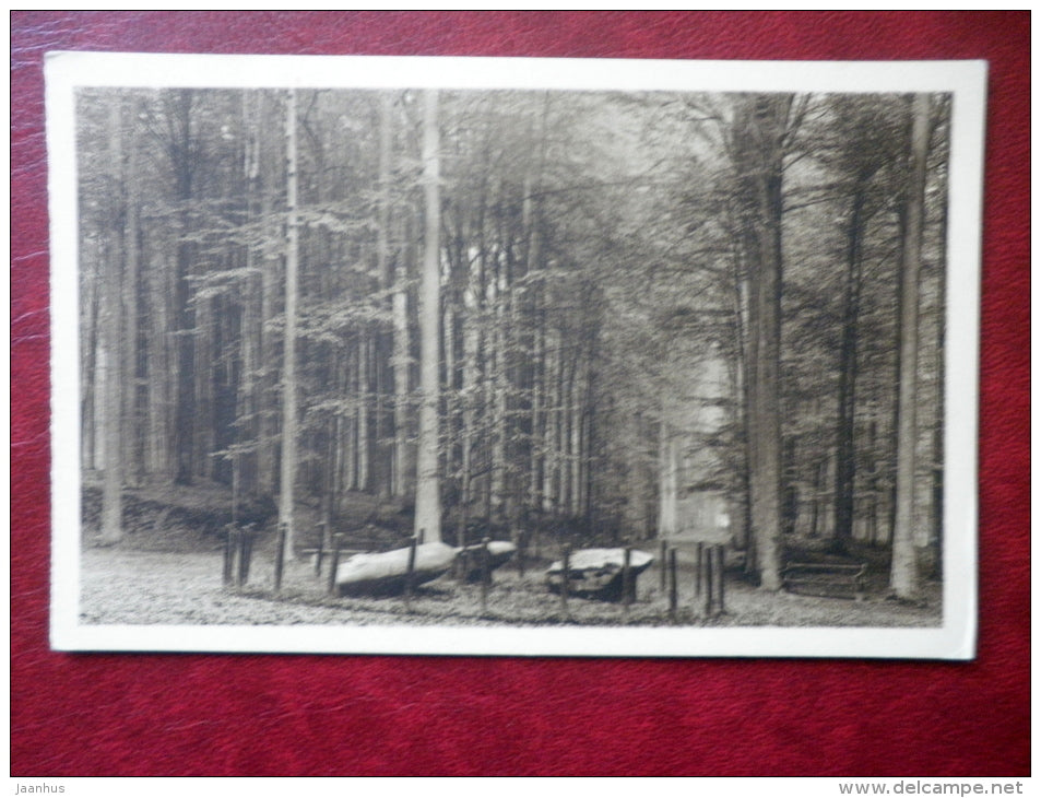 Le Parc - park - druidical stones - les pierres druidiques - Terveuren - old postcard - Belgium - unused - JH Postcards