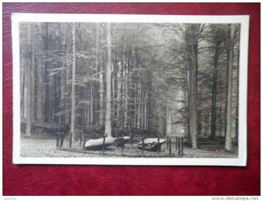 Le Parc - park - druidical stones - les pierres druidiques - Terveuren - old postcard - Belgium - unused - JH Postcards