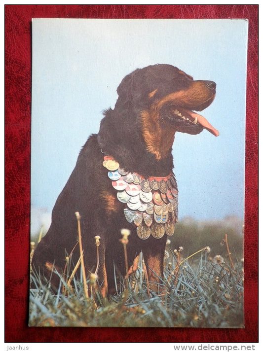 Rottweiler - dogs - 1987 - Estonia - USSR - unused - JH Postcards