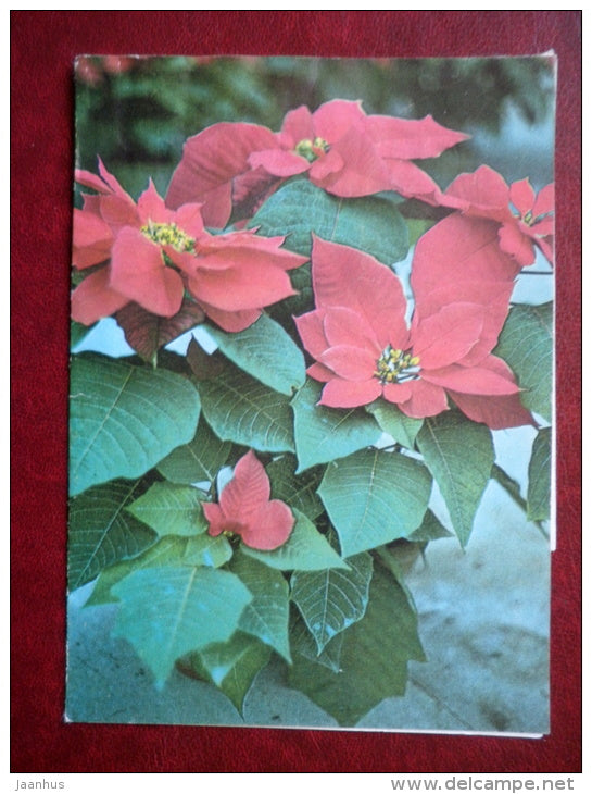 Telegram - red flowers - 1988 - Estonia USSR - used - JH Postcards
