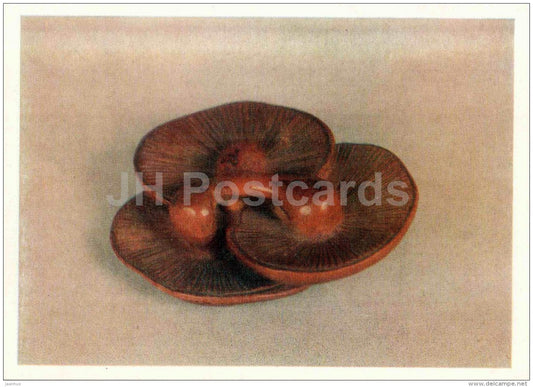 Mushrooms by Master Haruoki - wood - Netsuke - japanese art - unused - JH Postcards
