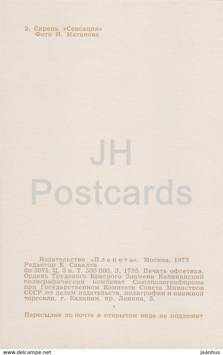 Sensation - Lilac - Flowers - 1973 - Russia USSR - unused
