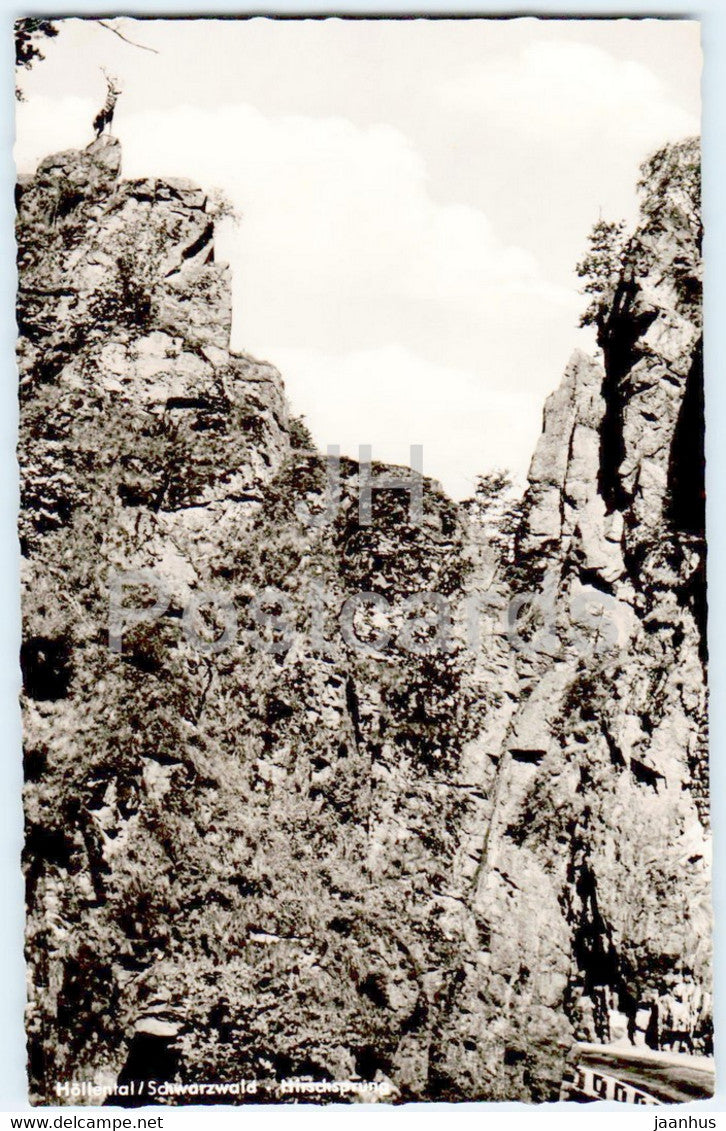 Hollental - Schwarzwald - Hirschsprung - old postcard - Germany - unused - JH Postcards