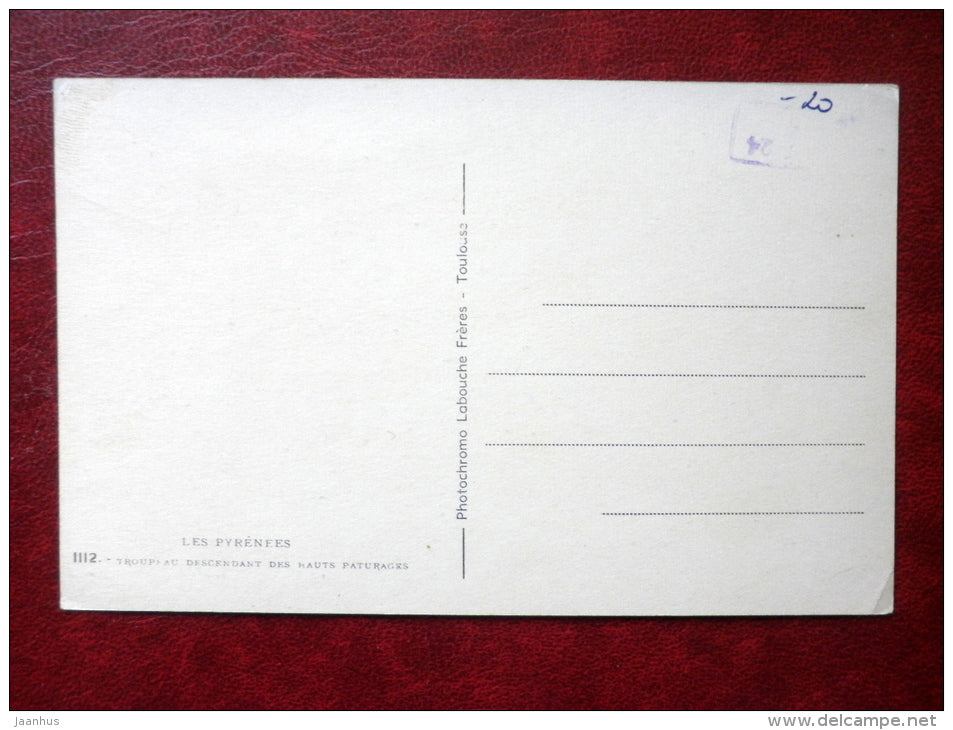 Les Pyrenees Troupeau Descendant des hauts Paturages - cow herd - France - unused - JH Postcards