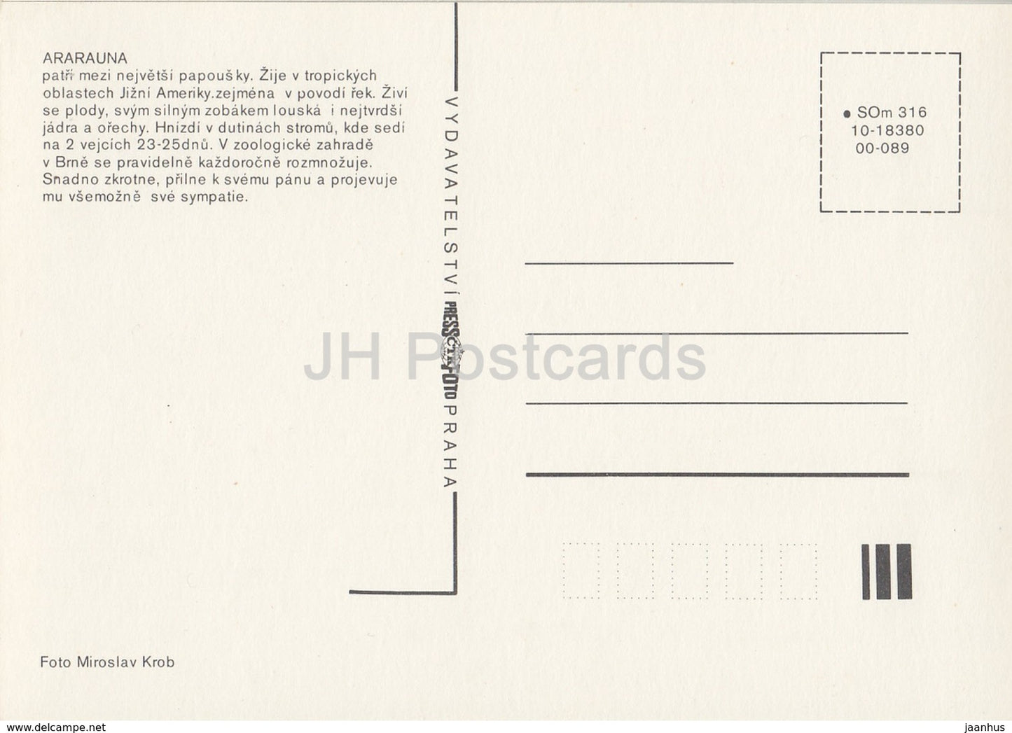 Blue-and-yellow macaw - Ara ararauna - birds - Zoo - Czechoslovakia - Czech Republic - unused