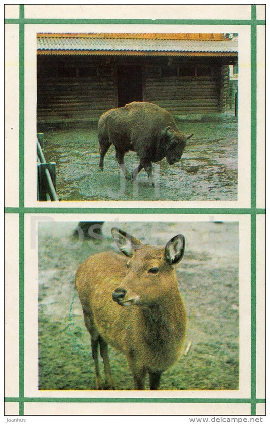 European bison - Spotted Deer - Kiev Kyiv Zoo - 1976 - Ukraine USSR - unused - JH Postcards