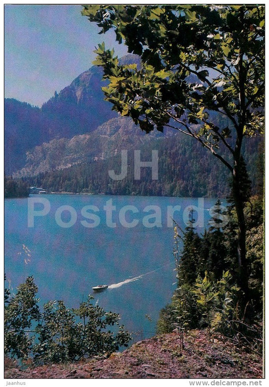 Lake Ritsa - Caucasus - 1980 - Georgia USSR - unused - JH Postcards