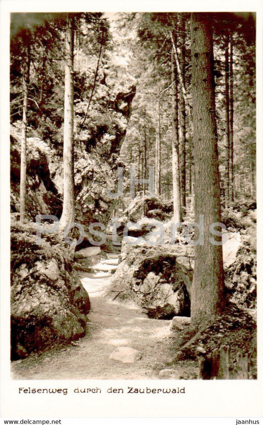 Felsenweg durch den Zauberwald - old postcard - Germany - unused - JH Postcards