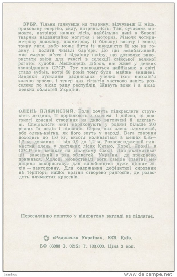 European bison - Spotted Deer - Kiev Kyiv Zoo - 1976 - Ukraine USSR - unused - JH Postcards