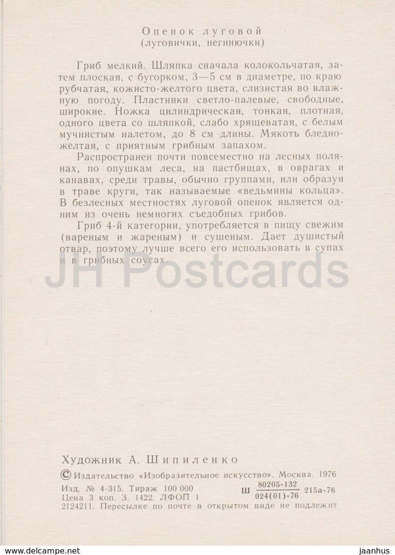 Fairy ring mushroom - Marasmius oreades - illustration by A. Shipilenko - Mushrooms - 1976 - Russia USSR - unused - JH Postcards