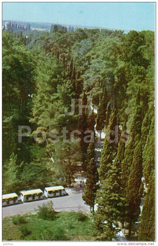 cypresses - Pitsunda - Abkhazia - 1970 - Georgia USSR - unused - JH Postcards