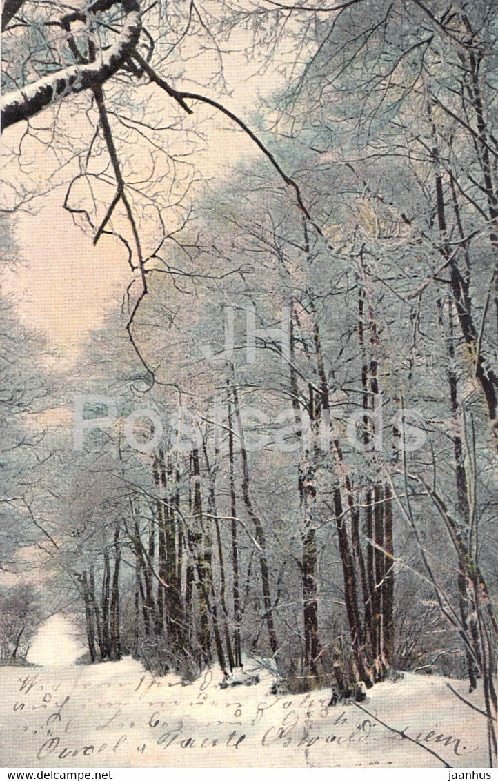 Winter nature - Serie 477 - old postcard - 1908 - used - JH Postcards