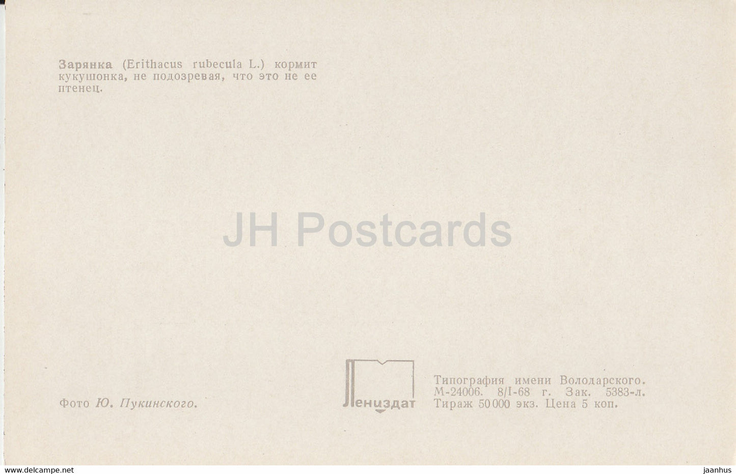 Rotkehlchen - Erithacus rubecula - Vögel - 1968 - Russland UdSSR - unbenutzt