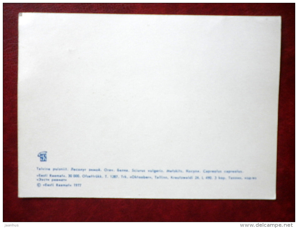 Squirrel - Roe deer - animals - 1977 - Estonia USSR - unused - JH Postcards