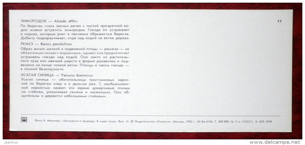 Common Kingfisher - Alcedo atthis - Eurasian Penduline Tit - Bearded Reedling - birds - 1982 - Russia USSR - unused - JH Postcards