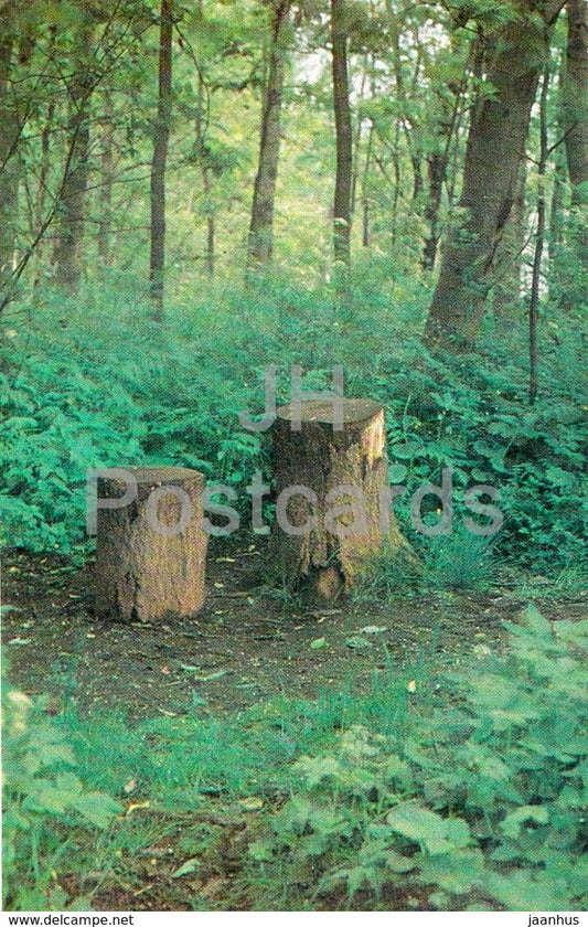 Razliv - Green Study - Lenin Memorial - 1969 - Russia USSR -  unused - JH Postcards