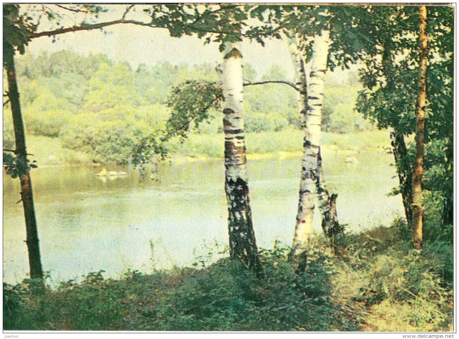 The Gauja river near Sigulda - birch - Sigulda - Latvia USSR - unused - JH Postcards