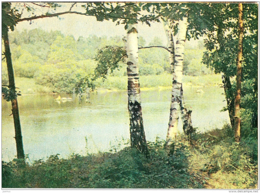 The Gauja river near Sigulda - birch - Sigulda - Latvia USSR - unused - JH Postcards