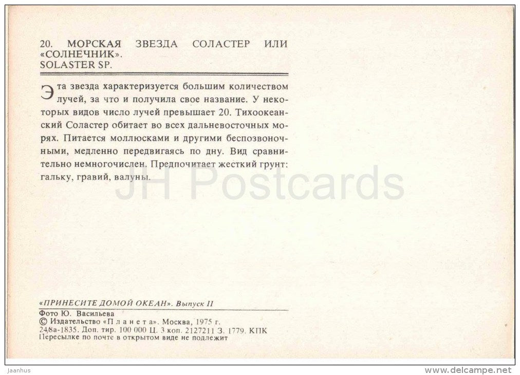 Solaster sp - starfish - 1975 - Russia USSR - unused - JH Postcards