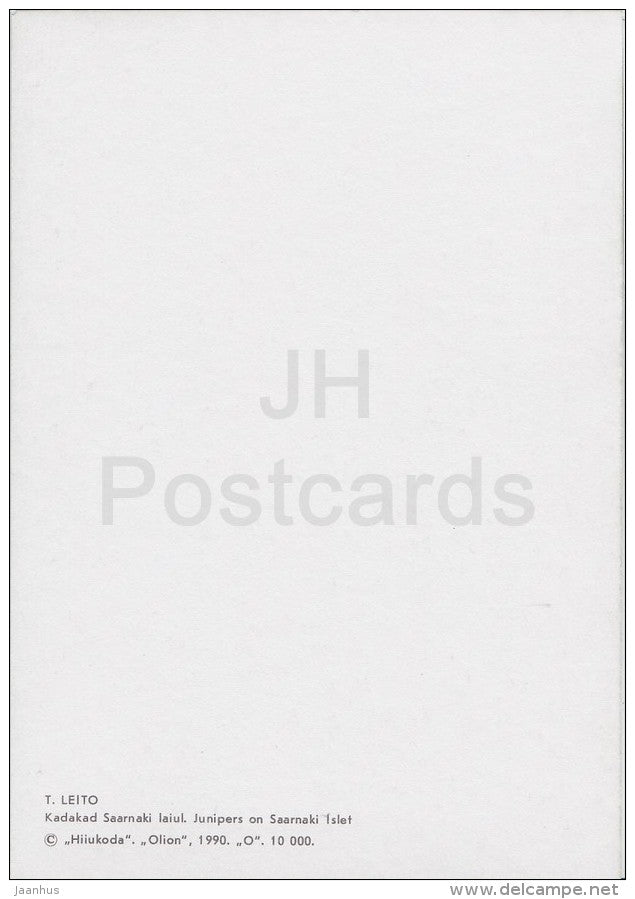 Junipers on Saarnaki islet - Hiiumaa island - 1990 - Estonia USSR - unused - JH Postcards