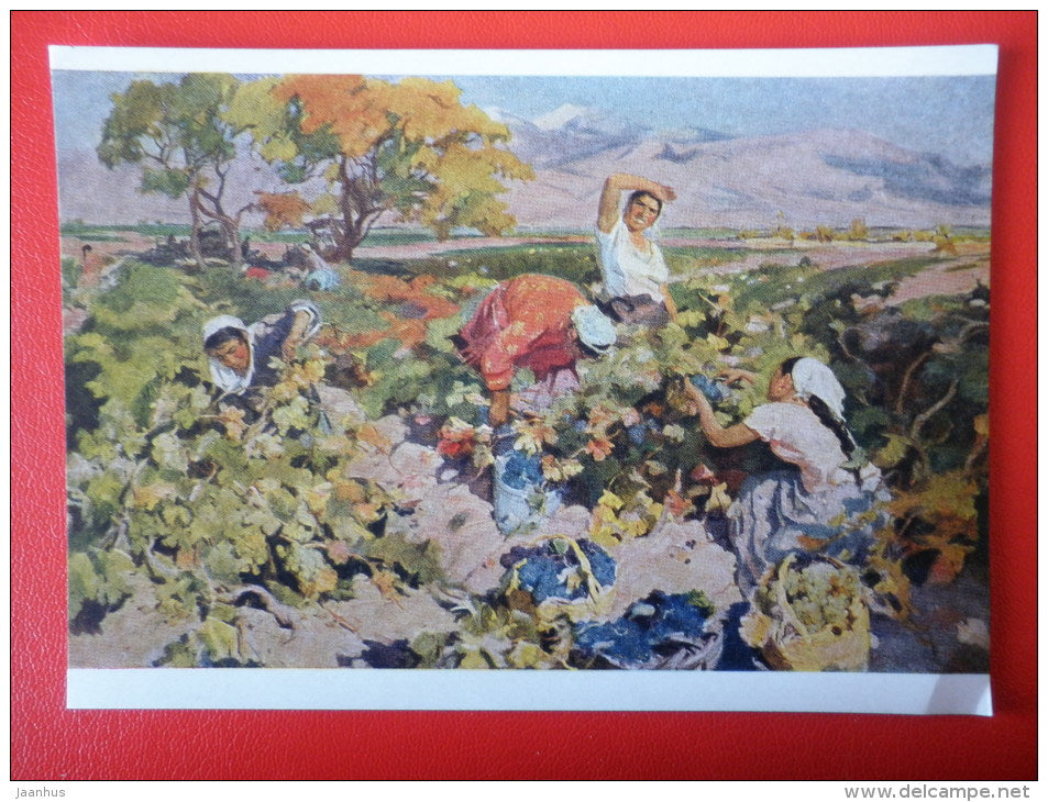 painting by N. Kontandzhyan . Grape Picking - women - armenian art - unused - JH Postcards
