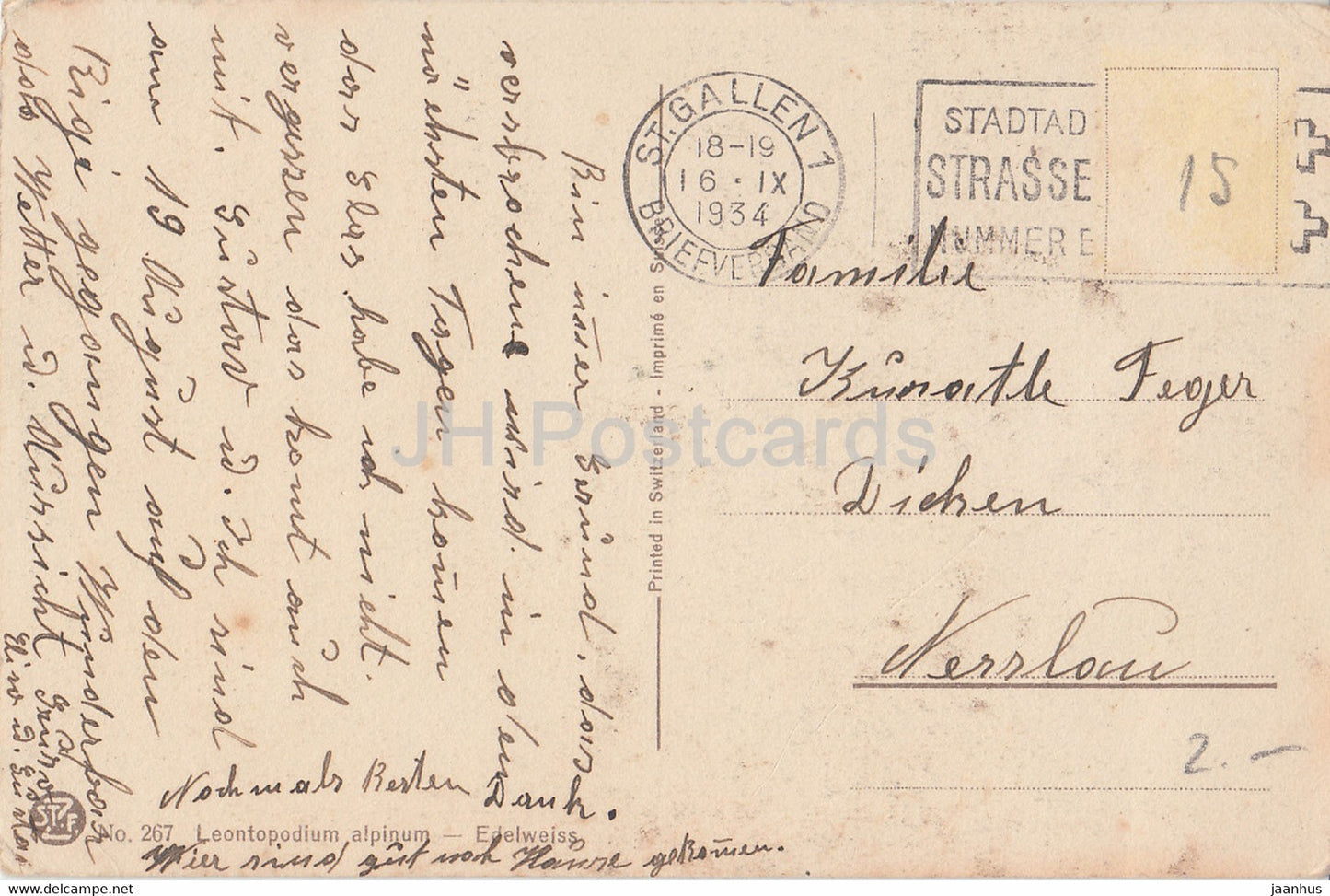 Leontopodium alpinum - Edelweiss - fleurs - 267 - carte postale ancienne - 1934 - Suisse - utilisé