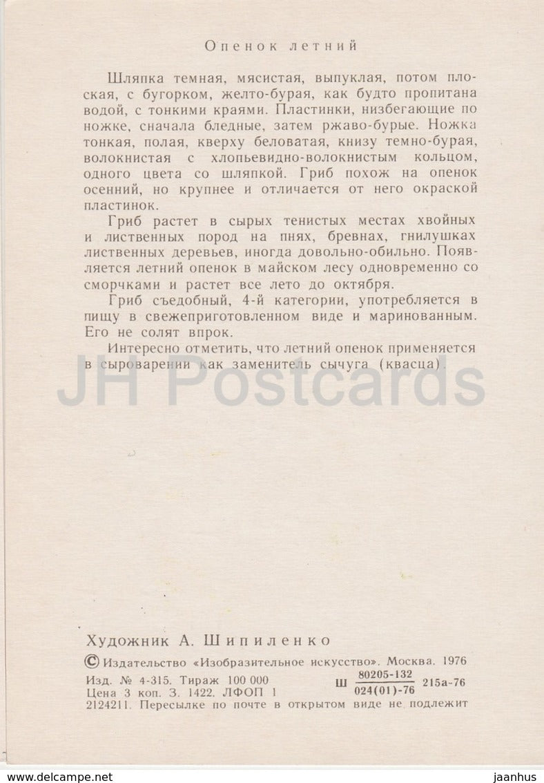 sheathed woodtuft - Kuehneromyces mutabilis - illustration by A. Shipilenko - Mushrooms - 1976 - Russia USSR - unused - JH Postcards